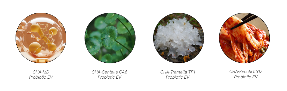 CHA Bio patented ingredients-Celltermi